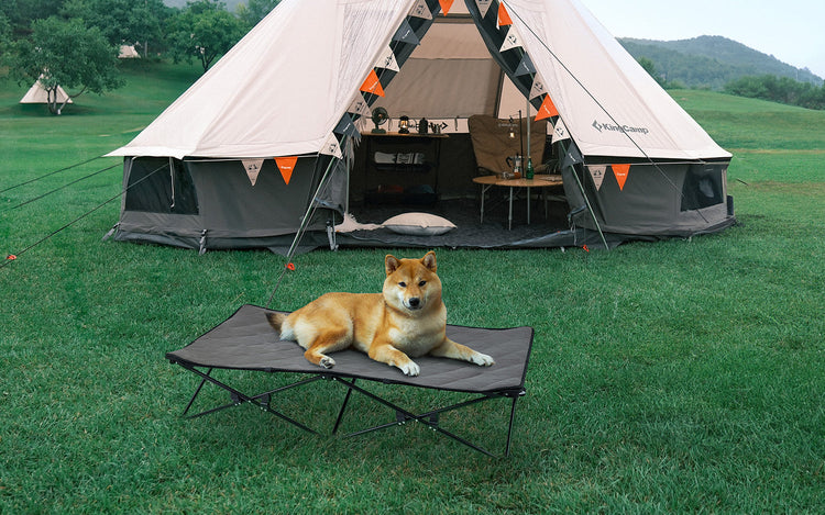 ペット用品 | Pets
