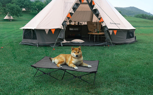 ペット用品 | Pets